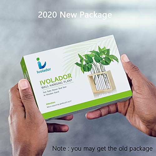 Ivolador Wall Mounted Hanging Planter Test Tube Flower Bud Vase Ta...