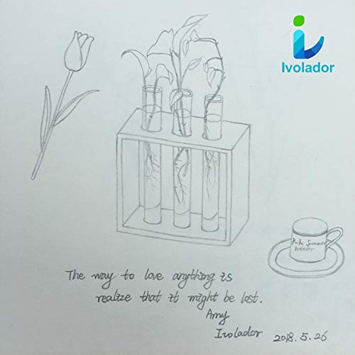Ivolador Wall Mounted Hanging Planter Test Tube Flower Bud Vase Ta...