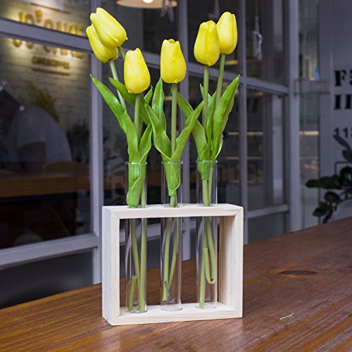 Ivolador Wall Mounted Hanging Planter Test Tube Flower Bud Vase Ta...