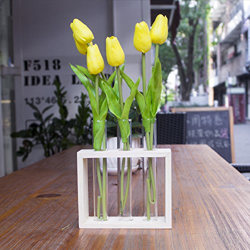 Ivolador Wall Mounted Hanging Planter Test Tube Flower Bud Vase Ta...