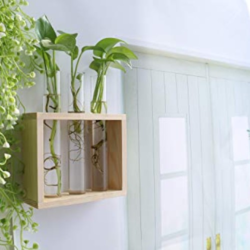 Ivolador Wall Mounted Hanging Planter Test Tube Flower Bud Vase Ta...