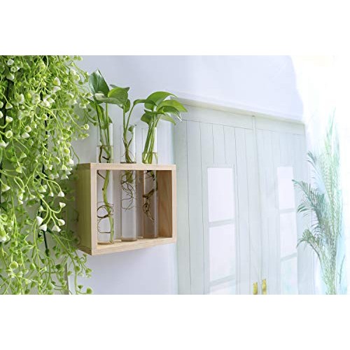 Ivolador Wall Mounted Hanging Planter Test Tube Flower Bud Vase Ta...