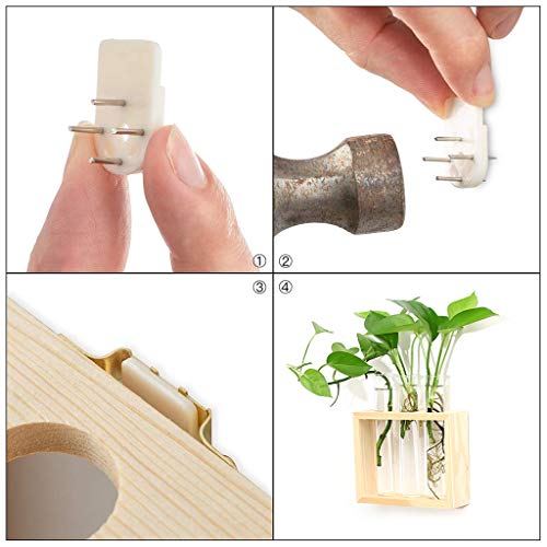 Ivolador Wall Mounted Hanging Planter Test Tube Flower Bud Vase Ta...