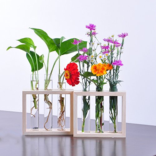 Ivolador Wall Mounted Hanging Planter Test Tube Flower Bud Vase Ta...