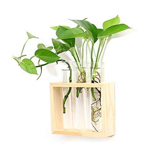Ivolador Wall Mounted Hanging Planter Test Tube Flower Bud Vase Ta...