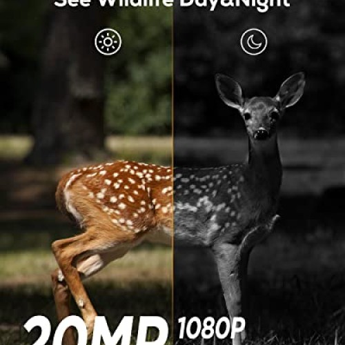 iZEEKER Trail Camera 20MP 1080P, Game Cameras with 940nm No Glow I...