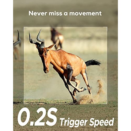 iZEEKER Trail Camera 20MP 1080P, Game Cameras with 940nm No Glow I...