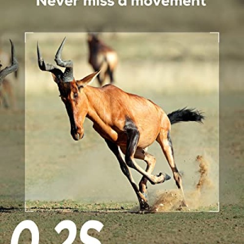 iZEEKER Trail Camera 20MP 1080P, Game Cameras with 940nm No Glow I...