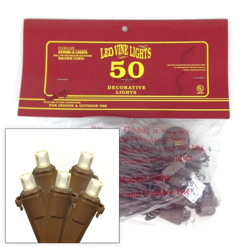 Brown Wire LED String Lights - 50 Clear Lights