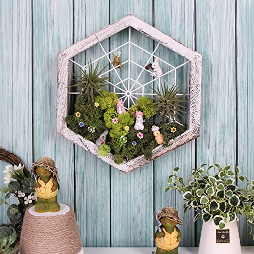 J JACKCUBE DESIGN Rustic Wood Air Plant Holder, DIY Hexagon Air Pl...