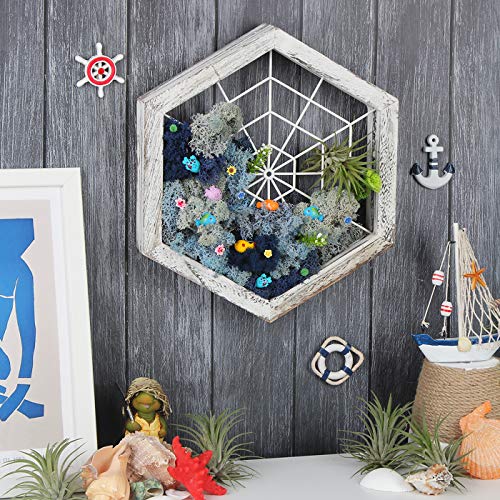 J JACKCUBE DESIGN Rustic Wood Air Plant Holder, DIY Hexagon Air Pl...