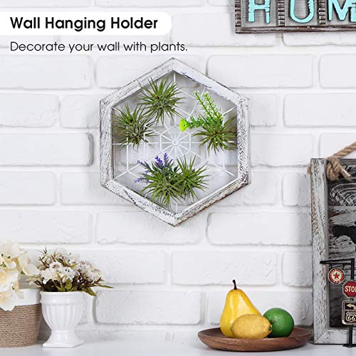 J JACKCUBE DESIGN Rustic Wood Air Plant Holder, DIY Hexagon Air Pl...
