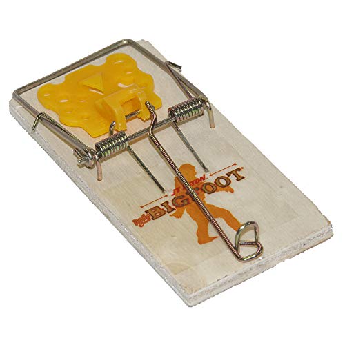 JT Eaton 404-12 Mouse Size Spring Action Wooden Snap Trap with Exp...