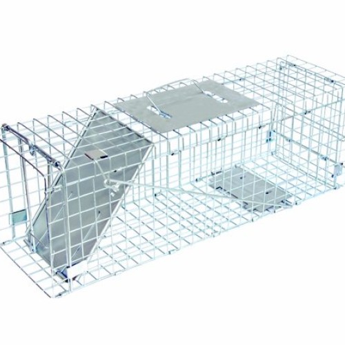 JT Eaton 465N Answer Single Door Live Animal Cage Trap for Medium ...