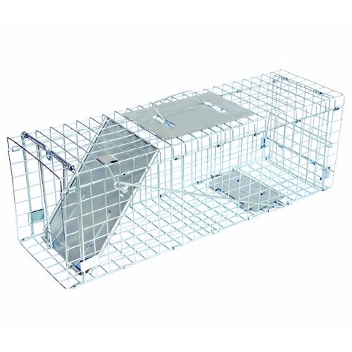 JT Eaton 465N Answer Single Door Live Animal Cage Trap for Medium ...