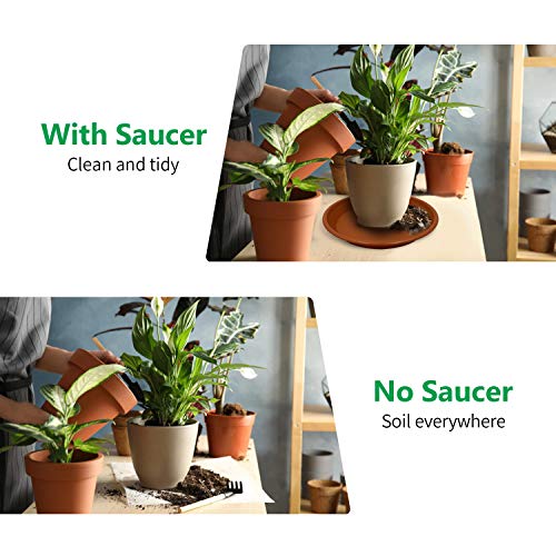 Jantens Plant Saucers - 4 Pack of 12 inch - Durable Thicker Plasti...