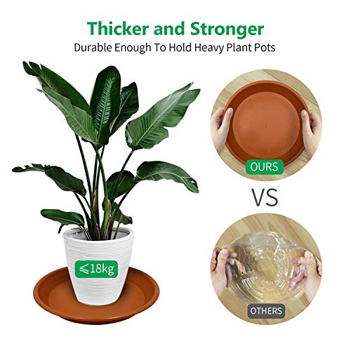 Jantens Plant Saucers - 4 Pack of 12 inch - Durable Thicker Plasti...