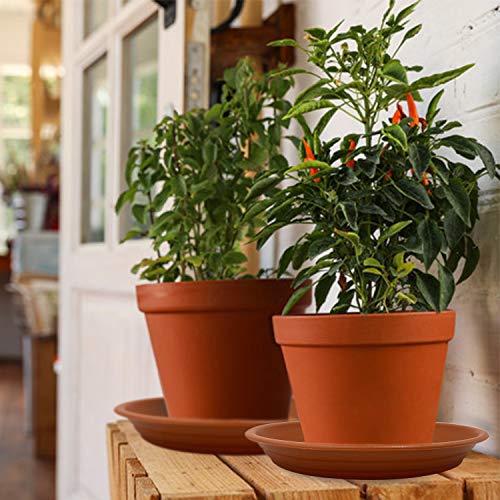 Jantens Plant Saucers - 4 Pack of 12 inch - Durable Thicker Plasti...
