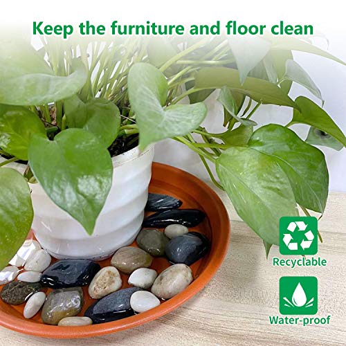 Jantens Plant Saucers - 4 Pack of 12 inch - Durable Thicker Plasti...