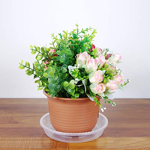 Plant Saucers - 14 inch - Durable Plastic Plant Trays, Clear Plast...