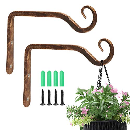 Jardim 2 Pack 6 Inch Premium Decorative Metal Iron Wall Hook, Indo...