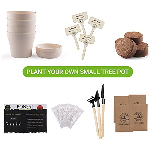 JC-JDFMY11 Bonsai Tree Starter Kit-4 Kinds of Bonsai Tree Gardenin...