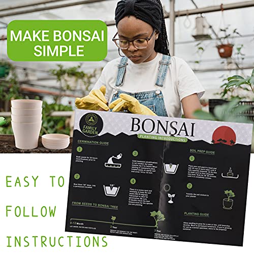 JC-JDFMY11 Bonsai Tree Starter Kit-4 Kinds of Bonsai Tree Gardenin...