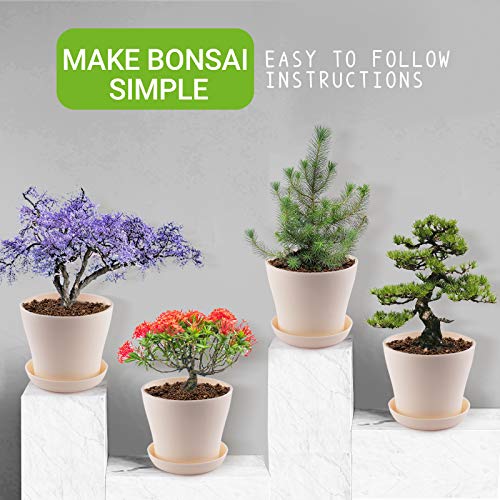 JC-JDFMY11 Bonsai Tree Starter Kit-4 Kinds of Bonsai Tree Gardenin...