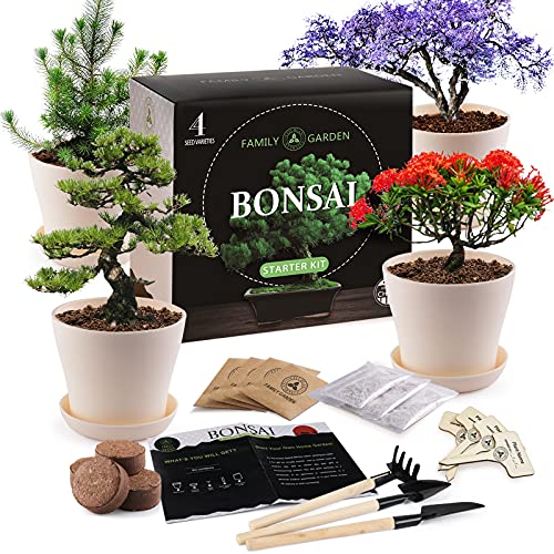 JC-JDFMY11 Bonsai Tree Starter Kit-4 Kinds of Bonsai Tree Gardenin...