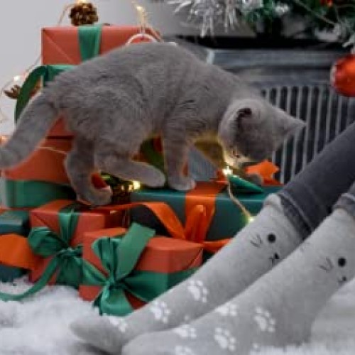 5 Pairs Womens Fun Socks Cute Cat Animals Funny Funky Novelty Cot...