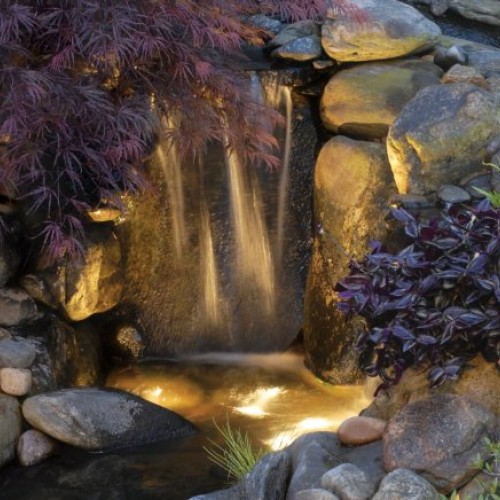Jebao 12-LED Submersible Light for Water Gardens and Ponds, Set of 5