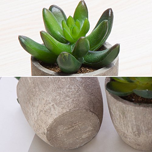 Jelofly Fake Plants Artificial Succulent Plants Assorted Decorativ...
