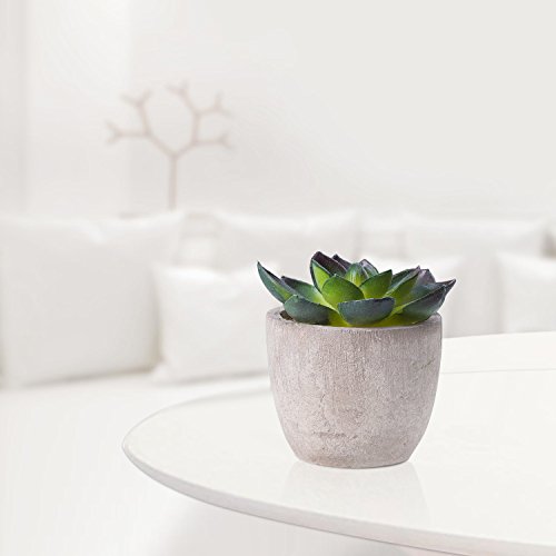 Jelofly Fake Plants Artificial Succulent Plants Assorted Decorativ...