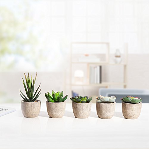 Jelofly Fake Plants Artificial Succulent Plants Assorted Decorativ...