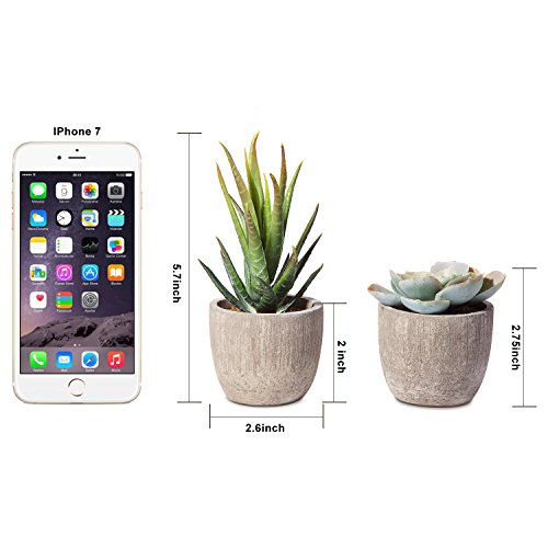 Jelofly Fake Plants Artificial Succulent Plants Assorted Decorativ...