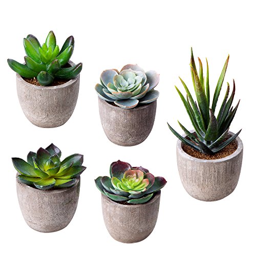 Jelofly Fake Plants Artificial Succulent Plants Assorted Decorativ...