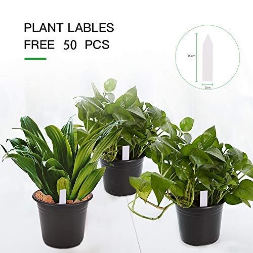 JERIA 50-Pack 0.5 Gallon Plastic Plant Nursery Pots wits 50 Pcs Pl...