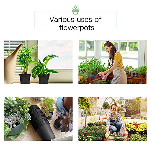 JERIA 50-Pack 0.5 Gallon Plastic Plant Nursery Pots wits 50 Pcs Pl...