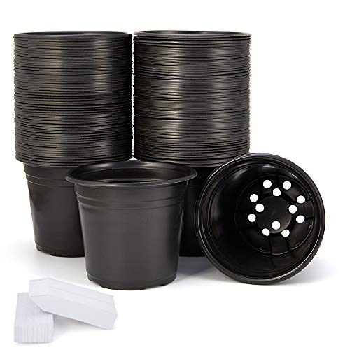JERIA 50-Pack 0.5 Gallon Plastic Plant Nursery Pots wits 50 Pcs Pl...