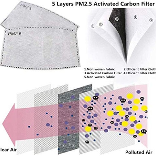 100 PCS PM2.5MASK Activated Carbon Filter, 5 Layers Replaceable An...