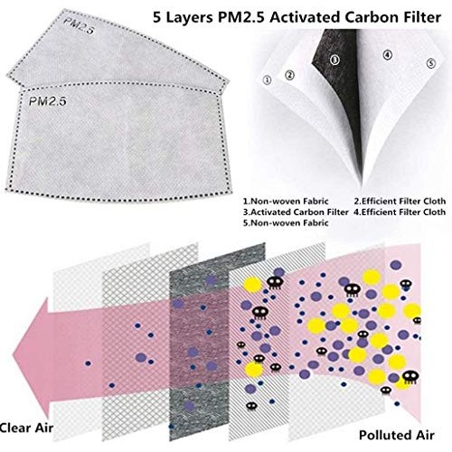 100 PCS PM2.5MASK Activated Carbon Filter, 5 Layers Replaceable An...