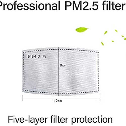 100 PCS PM2.5MASK Activated Carbon Filter, 5 Layers Replaceable An...