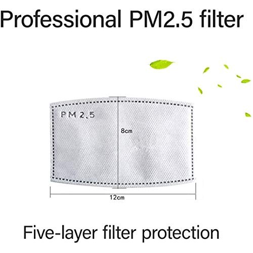 100 PCS PM2.5MASK Activated Carbon Filter, 5 Layers Replaceable An...