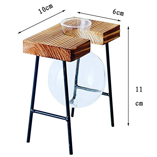 Plant Terrarium, Desktop Glass Planter Bulb Glass Vase with Wooden...