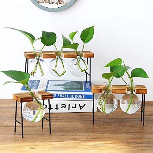 Plant Terrarium, Desktop Glass Planter Bulb Glass Vase with Wooden...