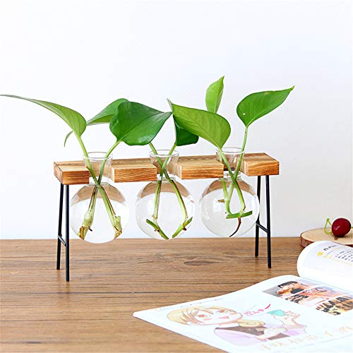Plant Terrarium, Desktop Glass Planter Bulb Glass Vase with Wooden...