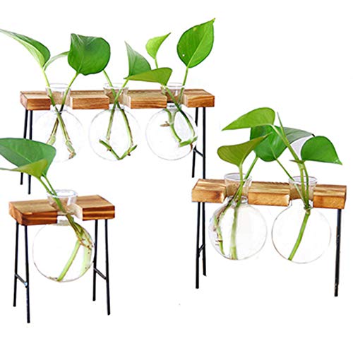 Plant Terrarium, Desktop Glass Planter Bulb Glass Vase with Wooden...
