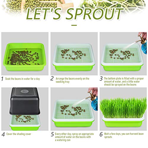 Jitnetiy Seed Sprouter Tray Bean Sprout Grower Seedling Tray Sprou...