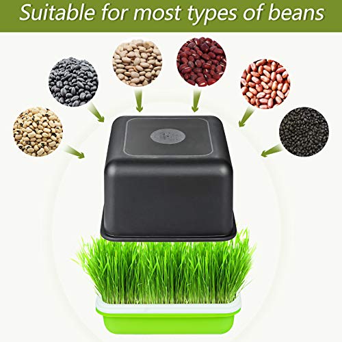 Jitnetiy Seed Sprouter Tray Bean Sprout Grower Seedling Tray Sprou...
