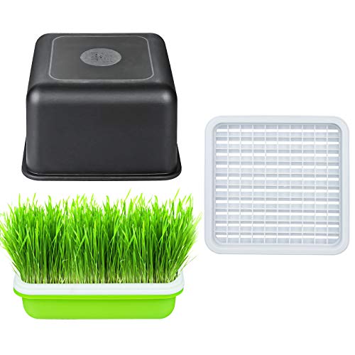 Jitnetiy Seed Sprouter Tray Bean Sprout Grower Seedling Tray Sprou...